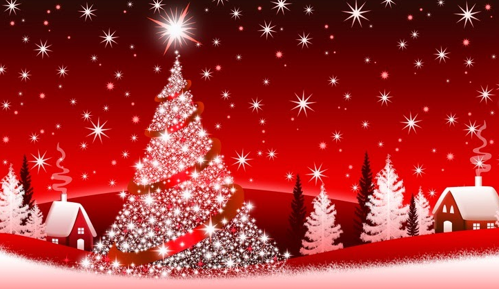 repas de noël le villa joie