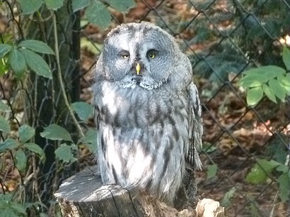 Parc des oiseaux 07.09.2015