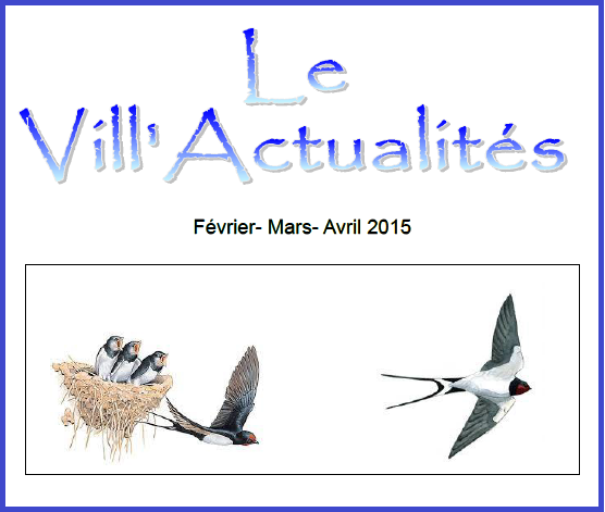 vill-act-2015-01