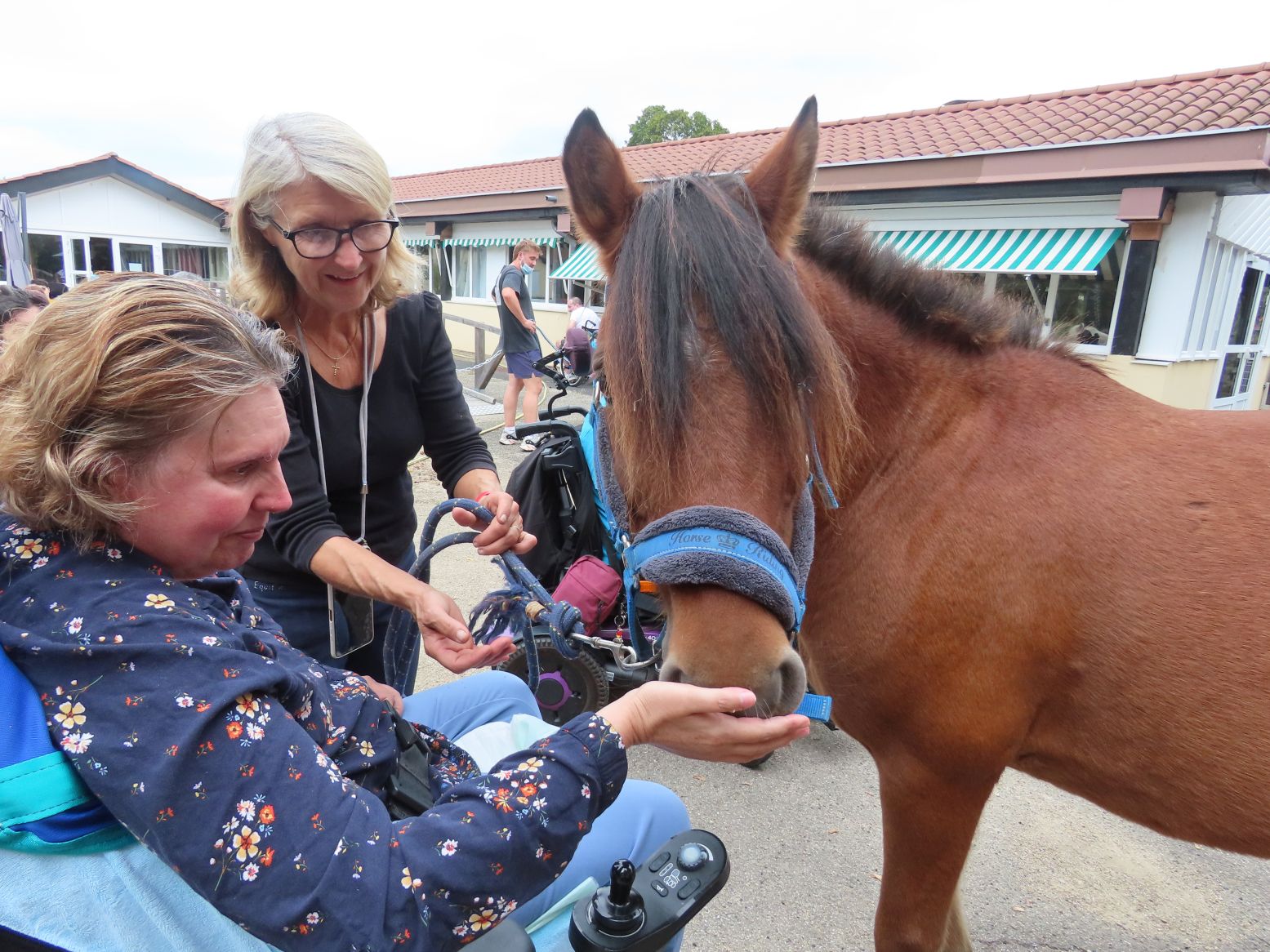 Visite poney