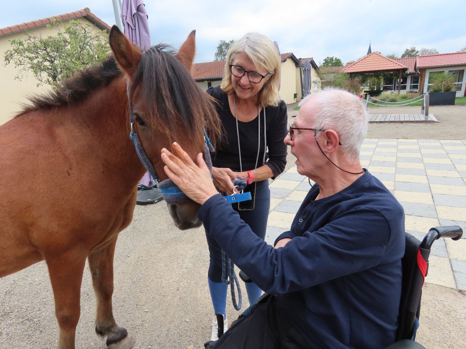 Visite poney